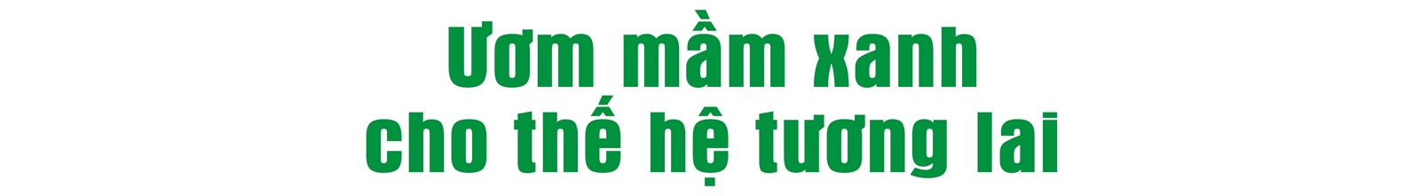 Ươm mầm xanh cho thế hệ tương lai