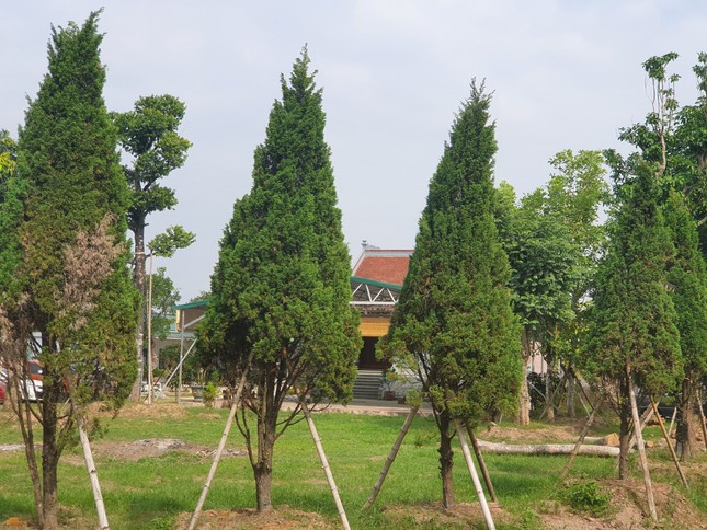 THÔNG TIN TỪ ĐƯỜNG DÂY NÓNG: ‘Lều’ canh vịt như biệt phủ lừng lững giữa cánh đồng ở ngoại thành Hà Nội