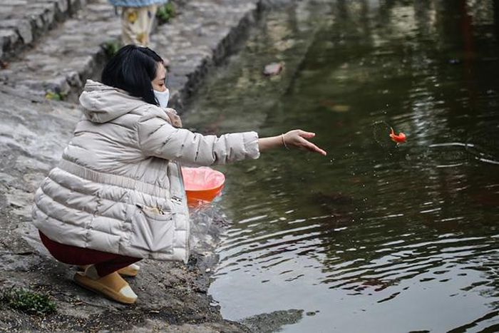 Sinh viên hỗ trợ người dân thả cá chép ngày Tết Ông Công Ông Táo để bảo vệ môi trường