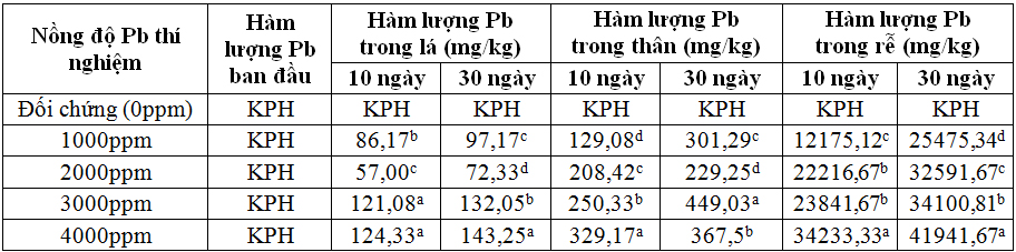 Ảnh hưởng của pH và nồng độ chì đến khả năng hấp thu chì của Cây Phát tài