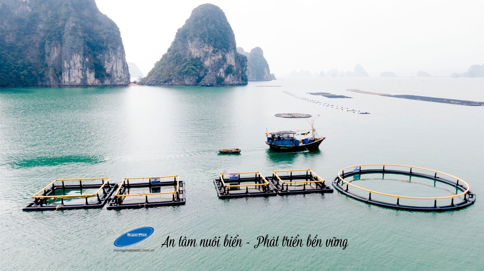 Nỗi niềm của biển