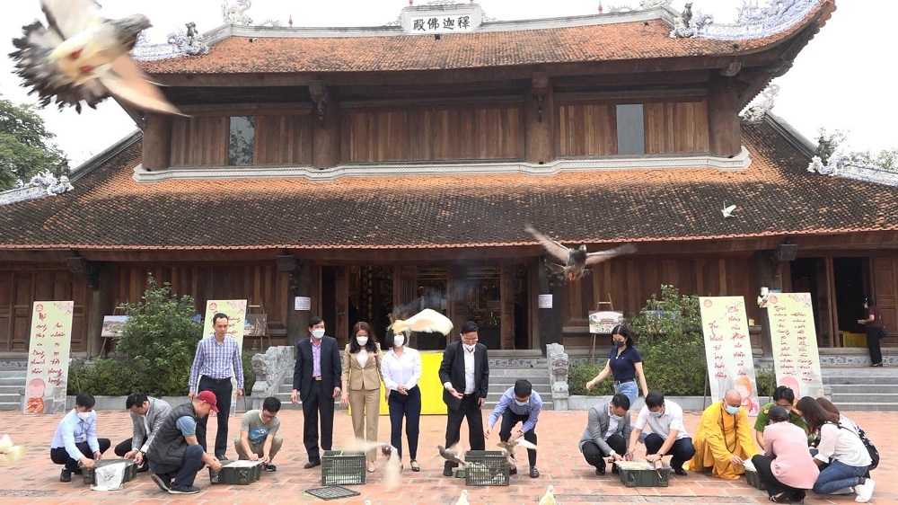 Chương trình Chùa xanh trồng mới 1008 cây tại chùa Quỳnh Lâm, Quảng Ninh