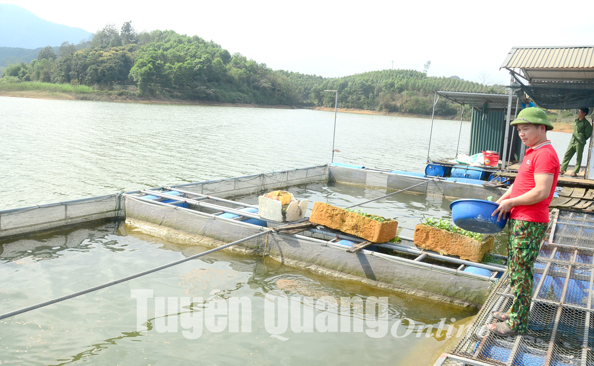 Tuyên Quang công bố danh sách 548 ao hồ không được san lấp