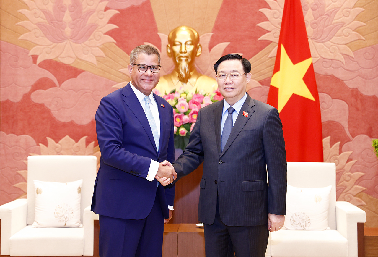 Chủ tịch Quốc hội Vương Đình Huệ tiếp Chủ tịch COP26 Alok Kumar Sharma 