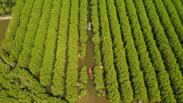 Quảng Ngãi: Biến đổi khí hậu 'làm khó' dự án chống biến đổi khí hậu