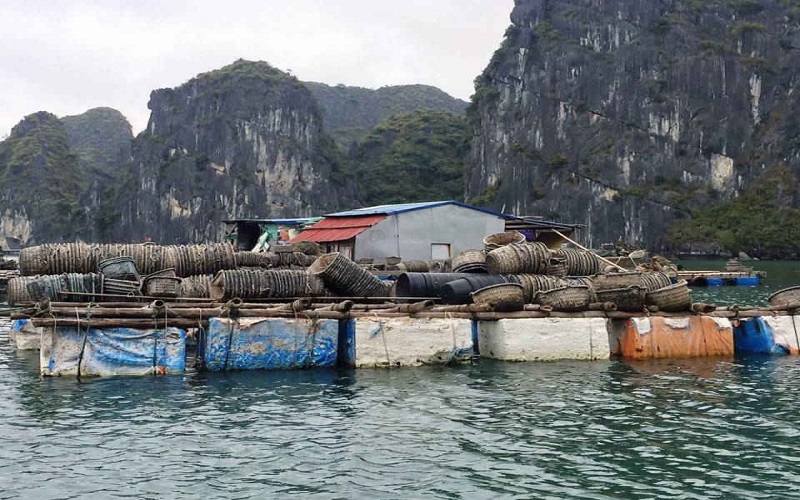 Ám ảnh rác thải nhựa đại dương và WWF kêu gọi cộng đồng chung tay