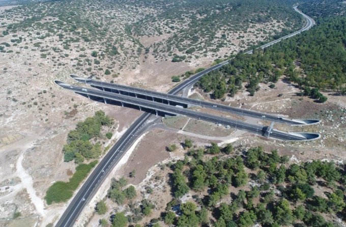 Vì một Israel xanh
