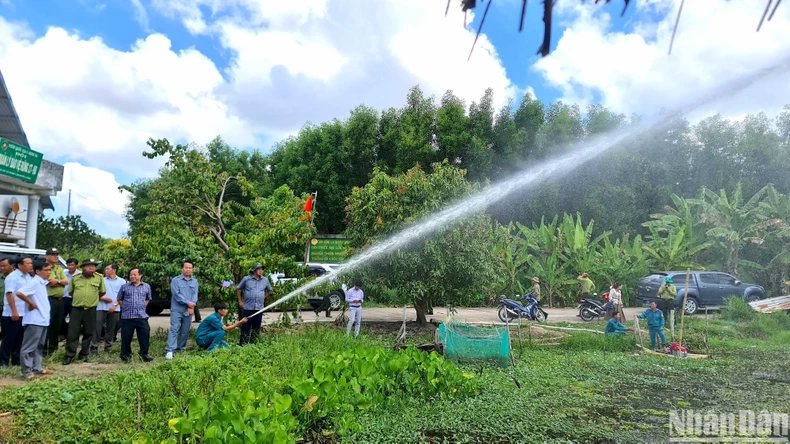 Rừng tràm Cà Mau “cảnh báo đỏ” hơn 6.000ha