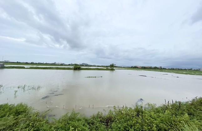 Mưa lũ khiến nhiều địa phương ở Quảng Ninh bị chia cắt, chìm trong biển nước