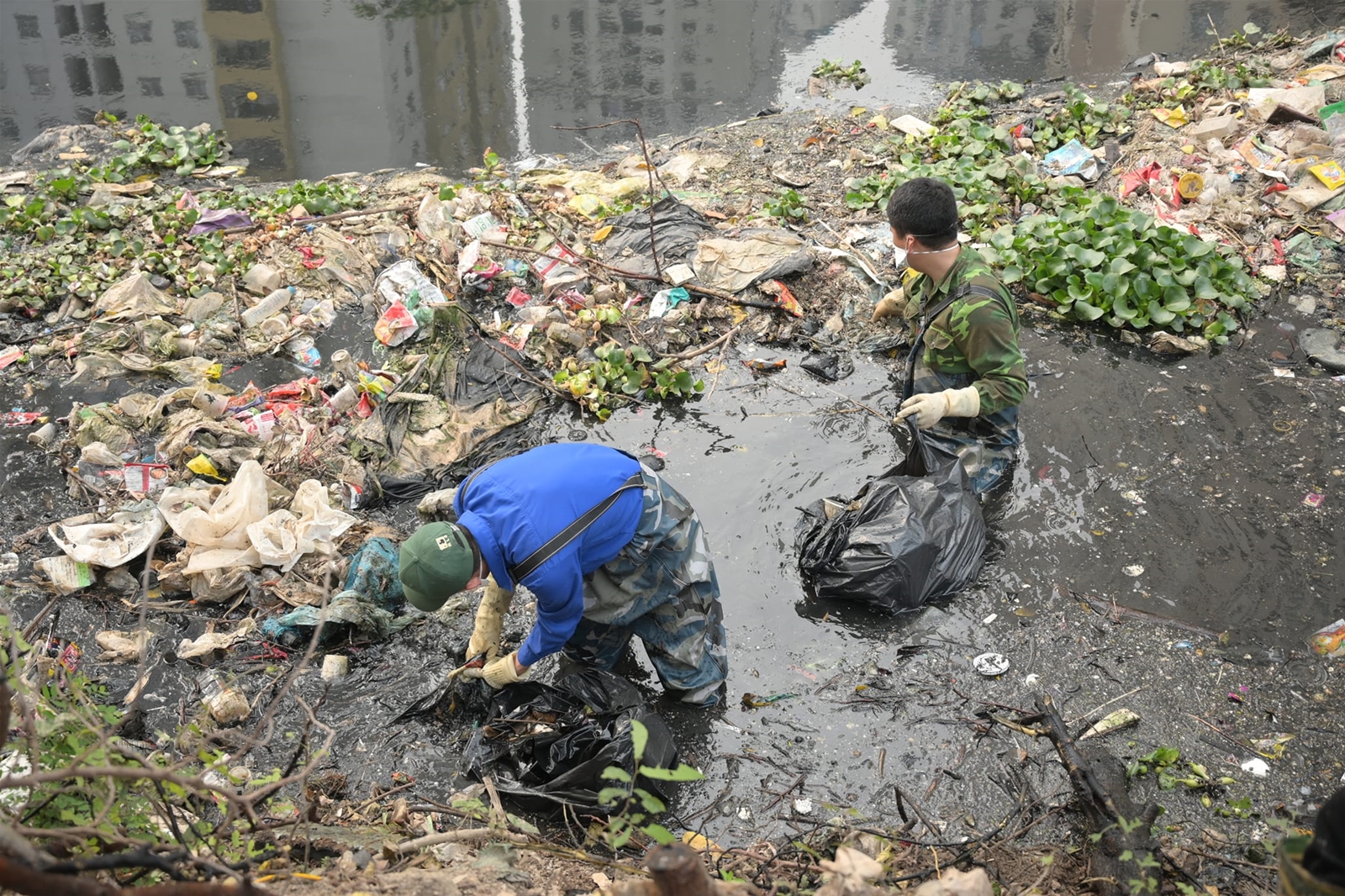 Chót rơi vào tình yêu với Rác