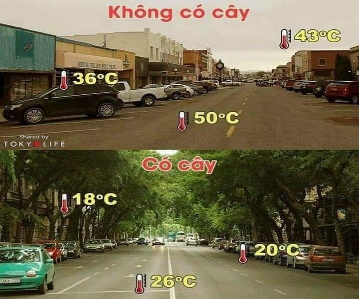 Mùa hè năm 2023: Thế giới nắng nóng phá kỷ lục