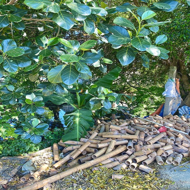 Sun Craft: “Hồi sinh” và “xanh hóa” những sản phẩm làng nghề