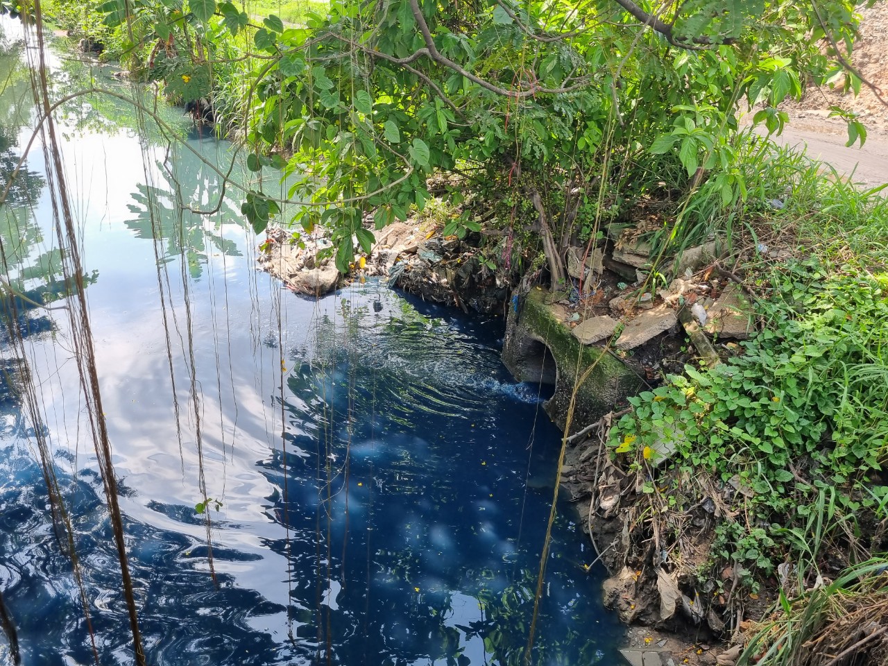 Ô nhiễm ở các khu dân cư xã chuẩn nông thôn mới xã Đông Thạnh, huyện Hóc Môn