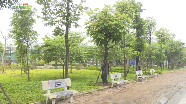 Lễ gắn biển công trình 