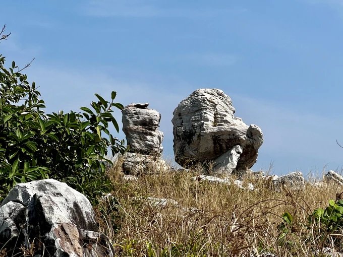 Nơi chim nhạn bay về