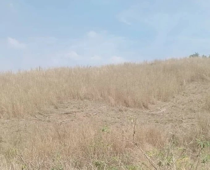 Nắng nóng đến sớm, mùa mưa đến muộn