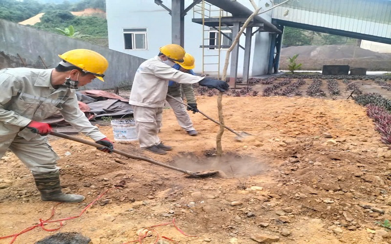 Công ty Gang thép Cao Bằng: Hưởng ứng “Tết trồng cây đời đời nhớ ơn Bác Hồ”