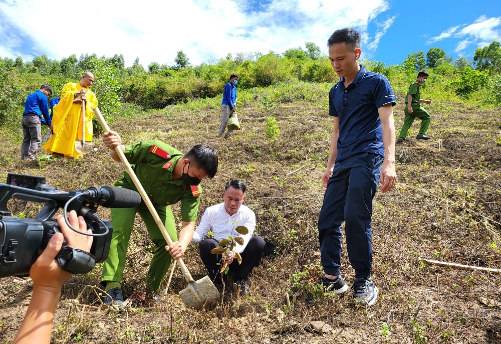 Phóng sự ảnh: Chương trình “Chùa xanh” trồng cây ở chùa Phước Vân, Đắk Lắk