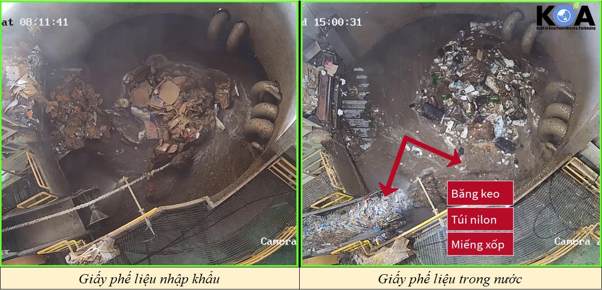 Title: Thực trạng giấy phế liệu carton tại Việt Nam