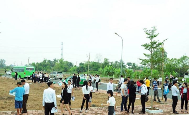 Các trường hợp giao đất qua đấu giá; đấu thầu; không qua đấu giá, đấu thầu