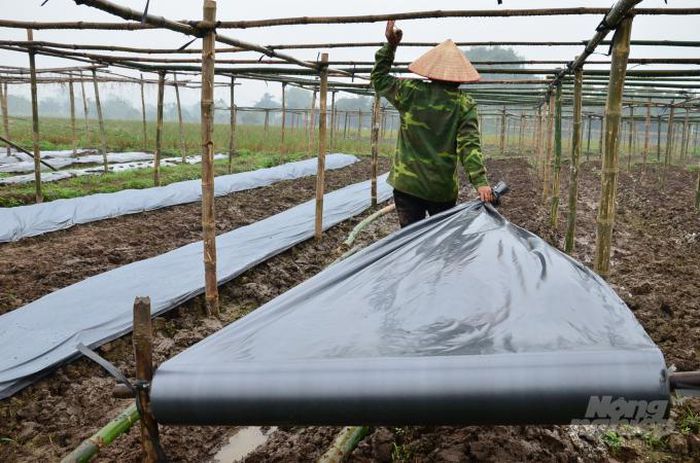 Tỉnh đầu tiên có đề án chống rác thải nhựa trong nông nghiệp