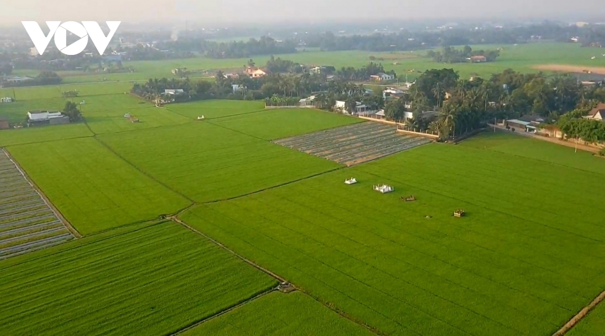 Công khai bảng giá đất vào ngày 1/1 hàng năm có phù hợp?