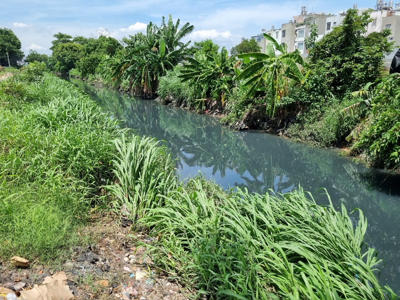 Ô nhiễm ở các khu dân cư xã chuẩn nông thôn mới xã Đông Thạnh, huyện Hóc Môn