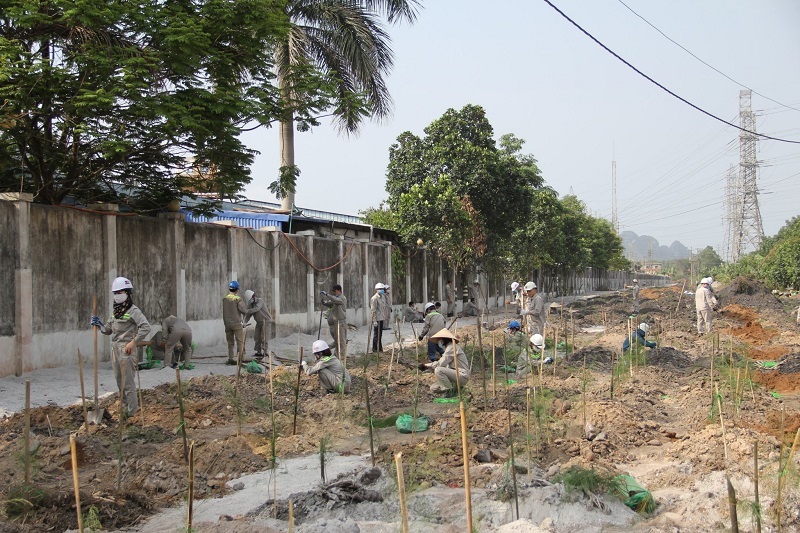 Công ty Nhiệt điện Cẩm Phả - TKV: Tăng cường xử lý và tiêu thụ tro xỉ