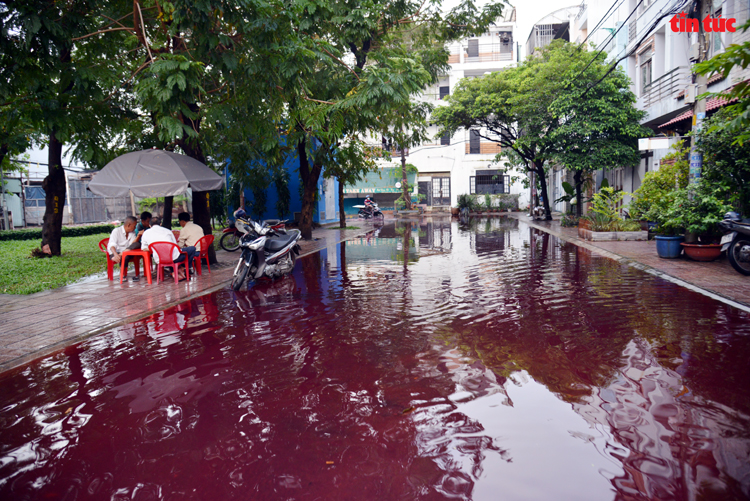 TP Hồ Chí Minh: Xuất hiện màu nước lạ bất thường sau mưa lớn