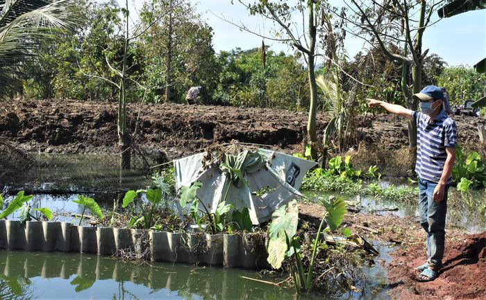 Đắp đập ngăn dòng chảy vì ô nhiễm từ chăn nuôi