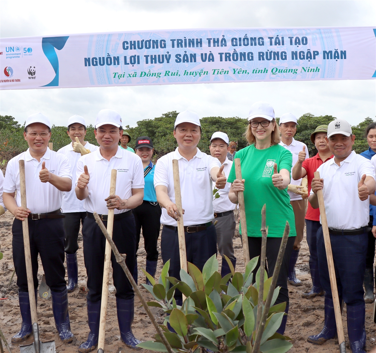 Những hình ảnh trong lễ phát động quốc gia hưởng ứng ngày Quốc tế đa dạng sinh học (22/5); Ngày môi trường thế giới (5/6) và Tháng hành động vì môi trường tại huyện Tiên Yên