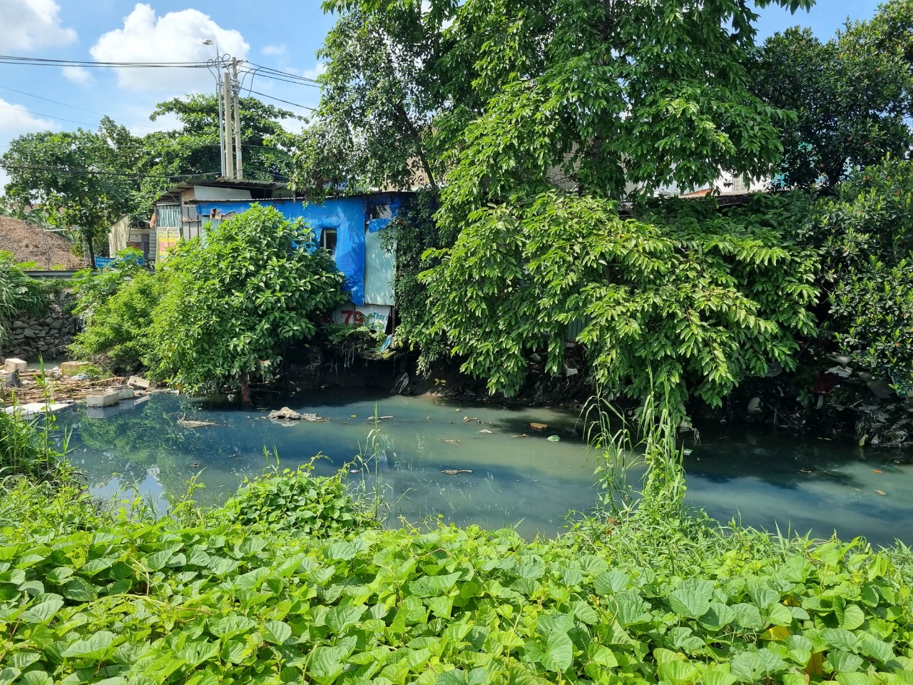 Ô nhiễm ở các khu dân cư xã chuẩn nông thôn mới xã Đông Thạnh, huyện Hóc Môn