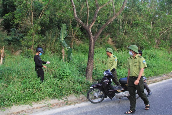 Khai thác hiệu quả và bảo tồn bán đảo Sơn Trà