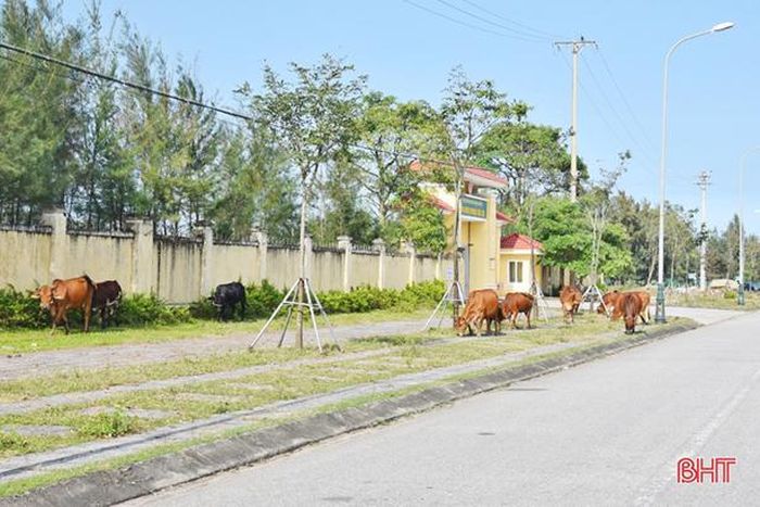 Thay đổi hành vi xấu!