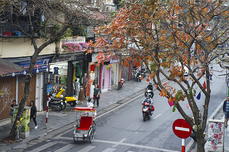 Thời tiết ngày 25/3: Bắc Bộ có mưa rào và dông, trời chuyển mát