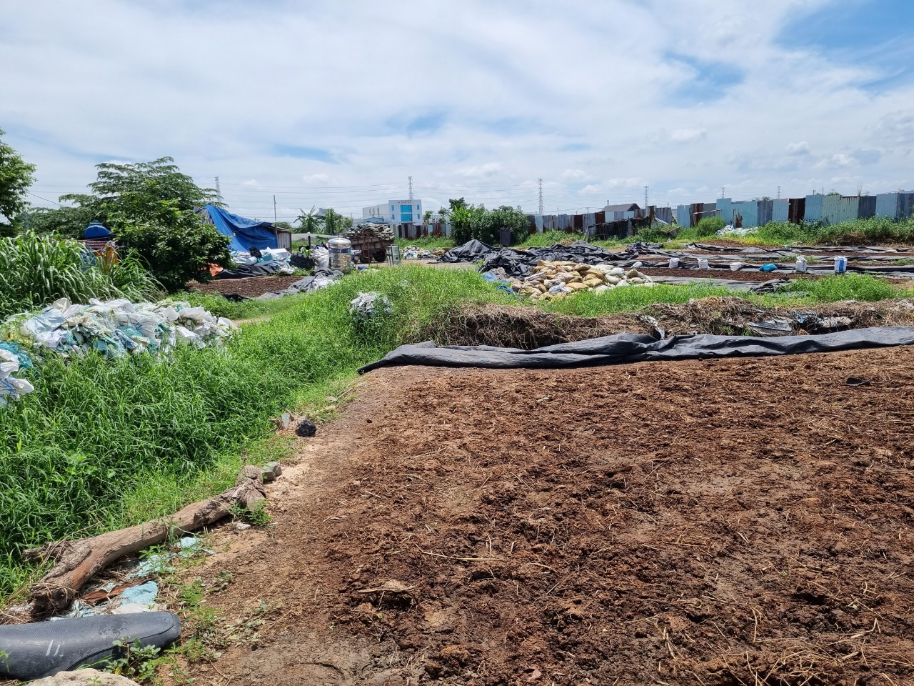 Ô nhiễm ở các khu dân cư xã chuẩn nông thôn mới xã Đông Thạnh, huyện Hóc Môn