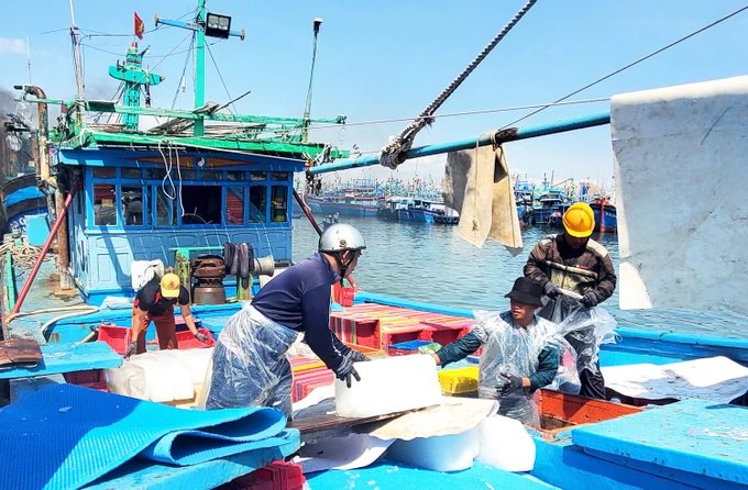 Miền Trung: Đầu xuân, khát lao động biển