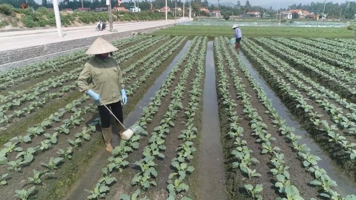 Bảo vệ nguồn nước để phát triển bền vững
