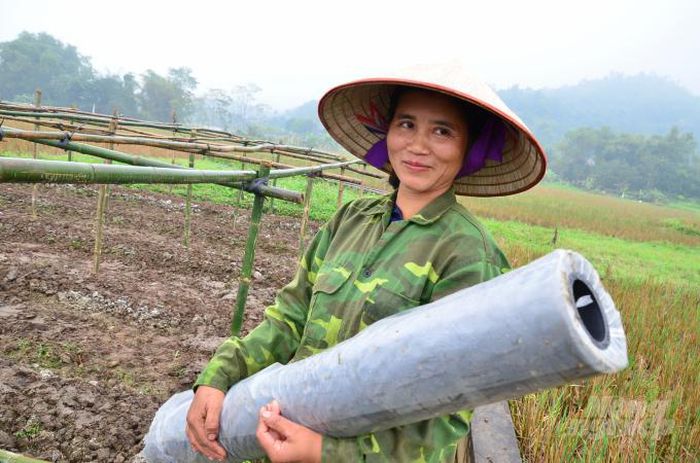 Tỉnh đầu tiên có đề án chống rác thải nhựa trong nông nghiệp