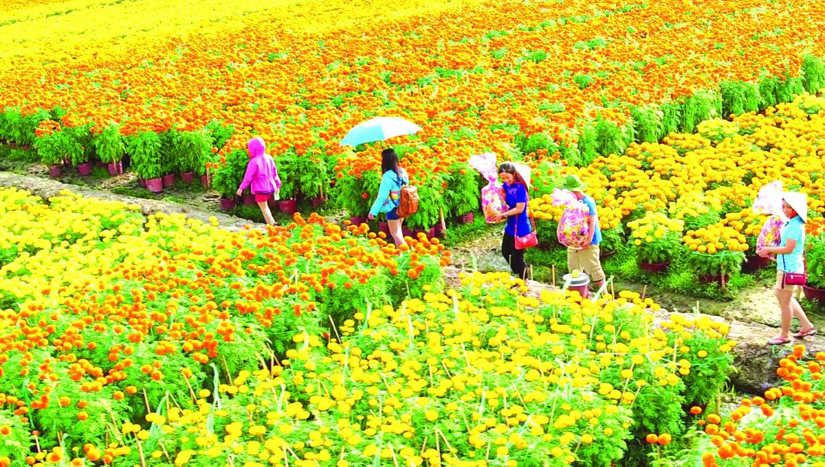 Tết phương Nam