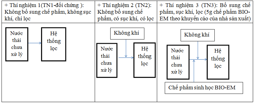 Nghiên cứu khả năng xử lý nước thải chế biến thịt bò bằng chế phẩm sinh học BIO-EM