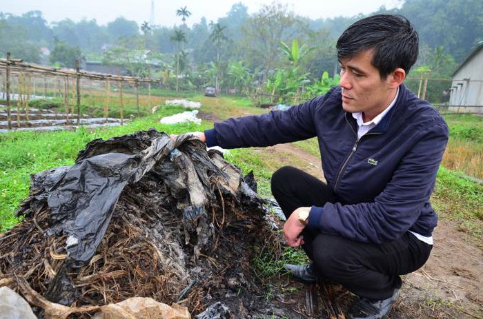 Tỉnh đầu tiên có đề án chống rác thải nhựa trong nông nghiệp