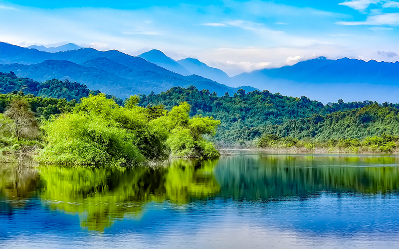 “Bệnh viện” cho động vật hoang dã bắc Trường Sơn