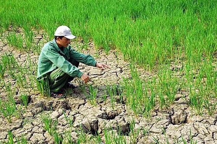 Bài mẫu viết thư UPU lần thứ 51 năm 2022 gửi một vị lãnh đạo về vấn đề khủng hoảng khí hậu