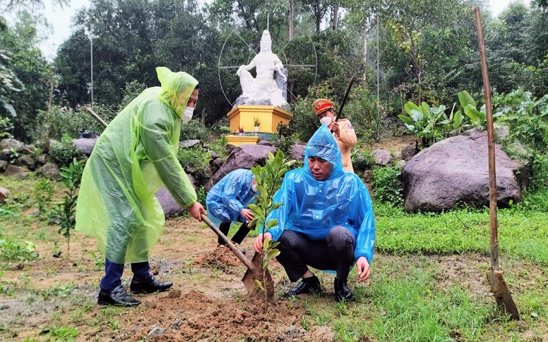 Đầu năm kêu gọi trồng cây!