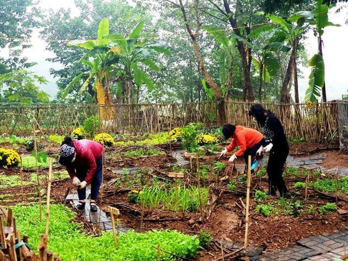 Bãi rác khu vực bờ vở sông Hồng thành sân chơi đa chức năng