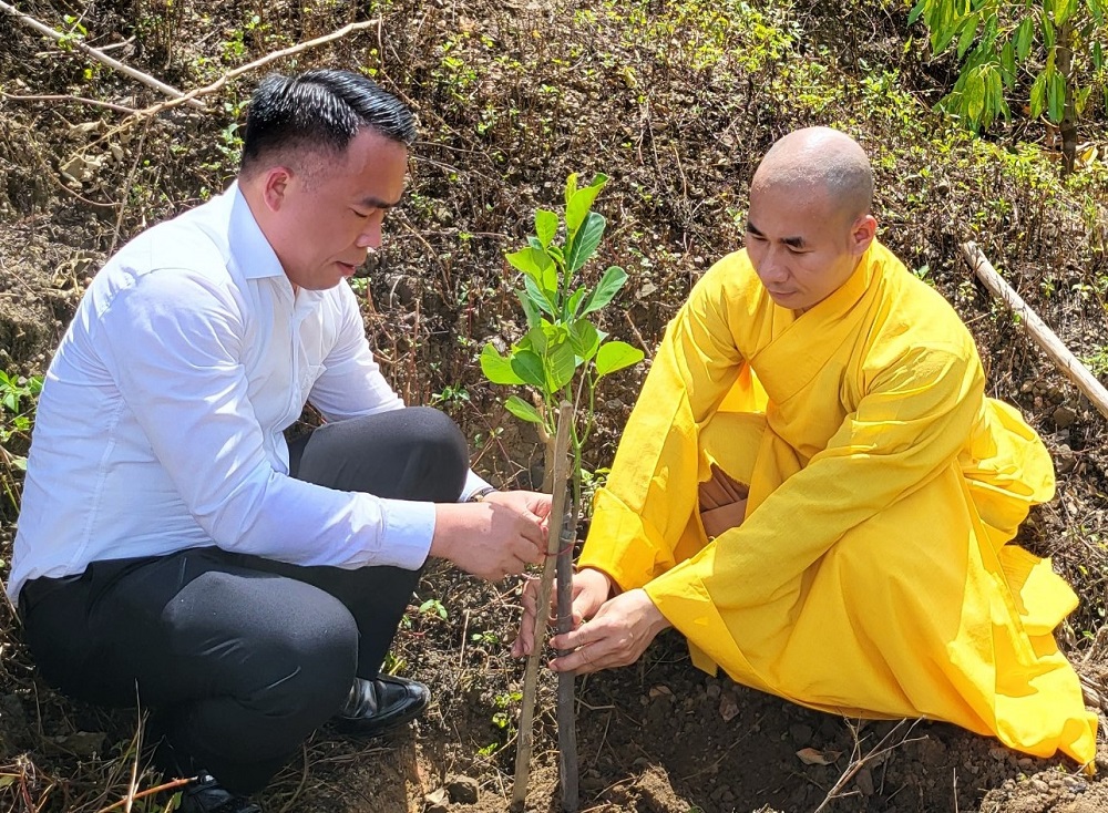 Phóng sự ảnh: Chương trình “Chùa xanh” trồng cây ở chùa Phước Vân, Đắk Lắk