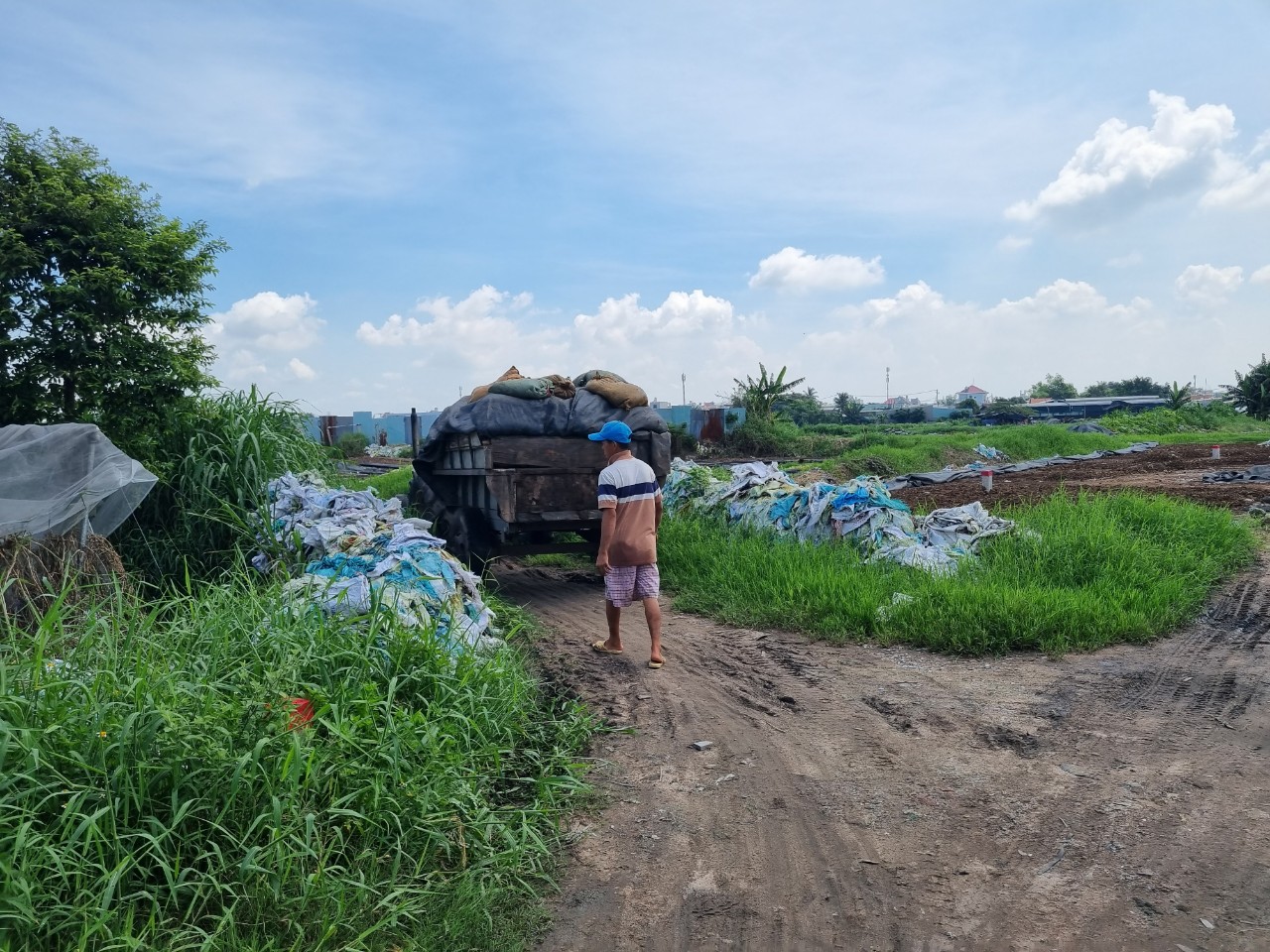 Ô nhiễm ở các khu dân cư xã chuẩn nông thôn mới xã Đông Thạnh, huyện Hóc Môn