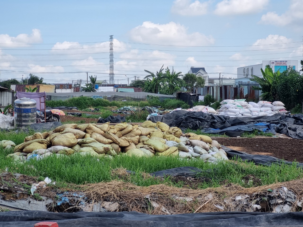 Ô nhiễm ở các khu dân cư xã chuẩn nông thôn mới xã Đông Thạnh, huyện Hóc Môn