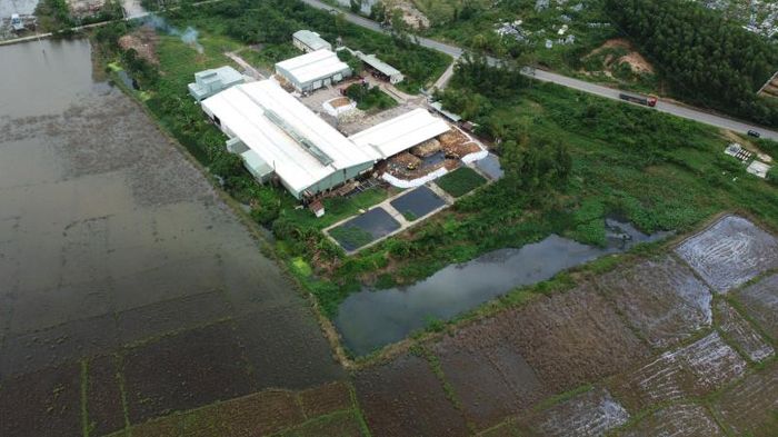 Quảng Nam: Ô nhiễm từ nhà máy chế biến mủ cao su và bột cá gây bức xúc